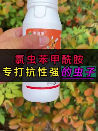 抗性虫害专用配方,打不住的虫子就用它 #康宽 #抗性虫害专用 #虫卵双杀
