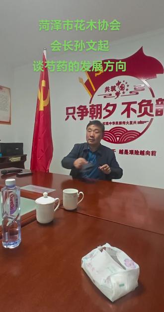 孙文起谈芍药发展方向