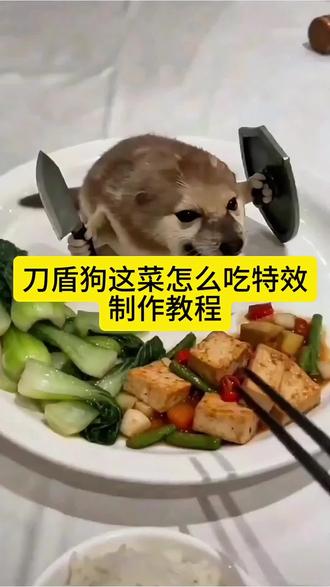 刀盾狗这菜怎么吃ai特效教程一键免费制作入口来啦!服务员,这菜怎么吃 不要吃刀盾#我的刀盾 #我的小狗刀盾大军来啦!#ai刀盾狗视频制作教程 #刀盾狗真的太可爱了 #剪映 我的刀盾 我的刀盾大军 刀盾狗 AI刀盾狗 我的刀盾特效 刀盾狗特效 比比拉布 我的刀盾比比拉布 AI我的刀盾 AI大战我的刀盾 刀盾大军来啦 刀盾魔性 刀盾洗脑 刀盾热梗 刀盾教程 刀盾同款 刀盾表情包 刀盾搞笑 刀盾入侵
