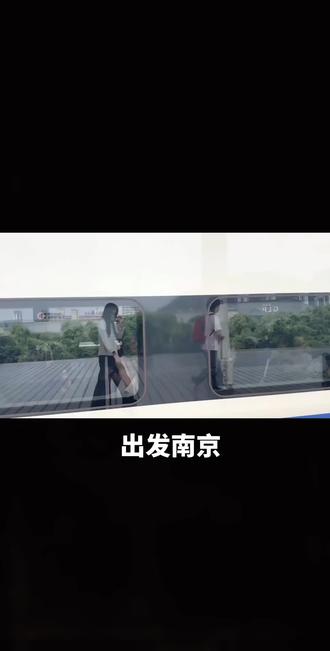 #薛之谦 老大!我们刚下了船就来动物园这样真的好吗#万兽之王 #南京 真去动物园了#红山森林动物园