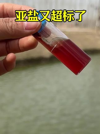亚盐 鱼耀 池塘亚盐高,鱼耀硝化细菌,纯正硝化菌不伤鱼虾蟹,稳定谅解亚盐还不反弹#水产养殖