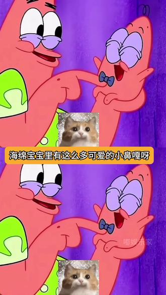 海绵宝宝里的小小只鼻嘎都好可爱啊#海绵宝宝#派大星#小鼻嘎