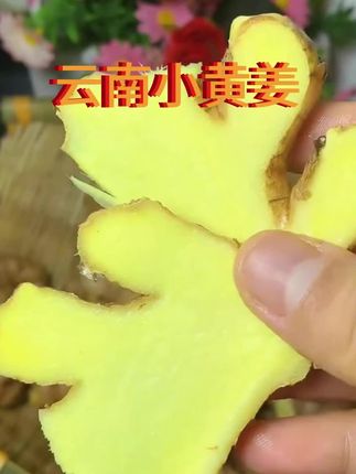生姜#小黄姜#美食 #云南小生姜