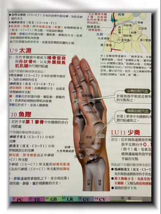 来看这一本,来自弯弯的中医经穴好书,全书采用的都是高清铜版纸的印刷,以人体3D立体解剖形式图全面解析361个穴位,同时还有西医的解剖学,骨骼、肌肉、经络、穴位通通展示细节,取穴的方式方法,骨骼的寸等等也都有展示到位,就算是中医小白也能轻松看懂,非常不错,值得入手#知识分享 #穴位 #穴位养生 #经穴大全 #经穴大全大字版