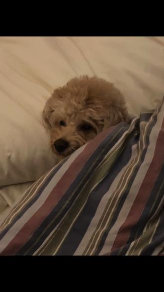 人生能有几次 是发自内心的愉悦和快乐