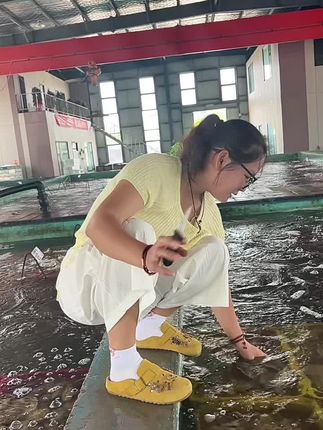 每个都是肥嘟嘟的小胖子,干净发货的