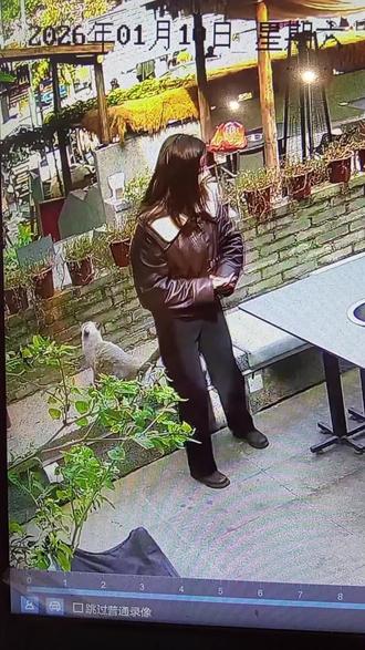 当某件事情成为习惯后……#猫咪的迷惑行为 #哈吉米 #动物@dou+小助手