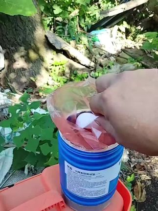 狗场正确的消毒方式#新手养狗 #细小病毒 #养狗经验分享 #土狗养殖 #肉狗养殖 @广西辉旺家庭养殖场 @大叔说养狗