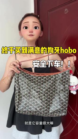 不走弯路‼️退换三家超绝狗牙分享…避坑指南#狗牙hobo #避雷指南 #包包分享 #大牌包包