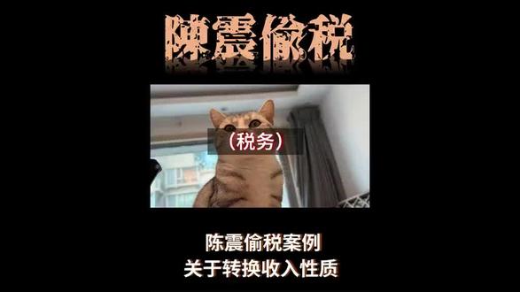 陈震偷税案例,关于转换收入性质