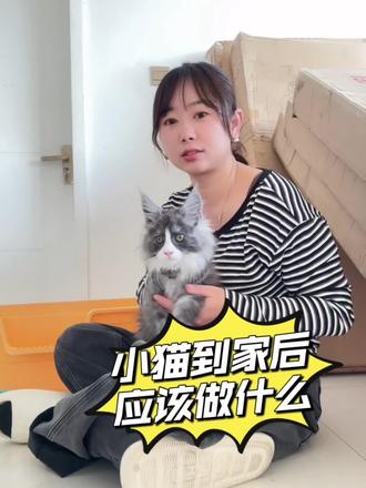 小猫到家后应该怎么做#缅因猫 #缅因