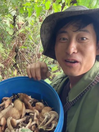 今天上山採蘑菇碰见片了 真厚啊 #採蘑菇
