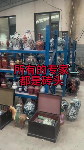 所有的专家都是砖头#古玩收藏交流 #古董 #古玩 #古玩收藏