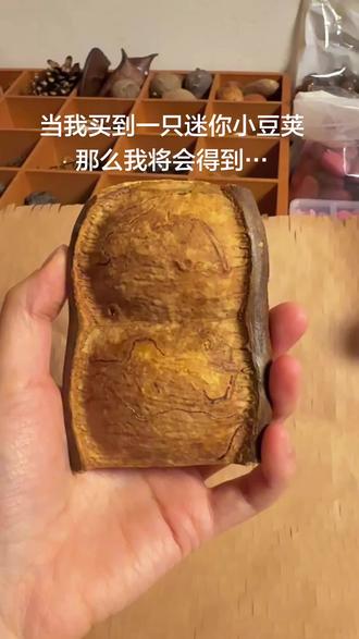 豆荚小狗和垂耳兔#手工diy #豆荚娃娃 #榼藤 #礼物推荐