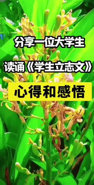 一位大学生读诵《学生立志文》心得体会和感悟#学生立志文#赵宗瑞老师#传统文化与身心健康