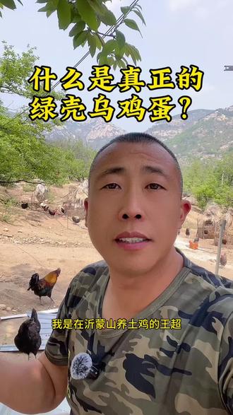 什么是真正的绿壳乌鸡蛋?#土鸡蛋#散养土鸡蛋#土鸡养殖#返乡创业青年 #抖音新农人