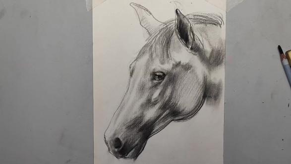 素描马脑袋的画法#素描#画画#手绘#绘画