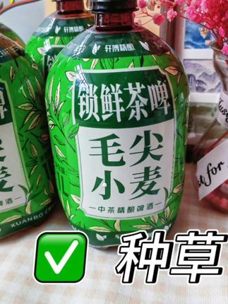 轩博家的茶啤来喽,精选上等毛尖,快点尝尝#茶啤#精酿#啤酒