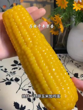 【试吃2根】铝箔包装东北黄糯玉米大棒10根整箱6-7斤香甜软糯好物分享#日用品推荐#生活好物