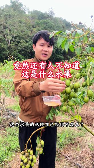 还有人没吃过这种水果吗,又脆又甘甜 #霍榄#农业种植基地 #2026新农人计划 #助力三农