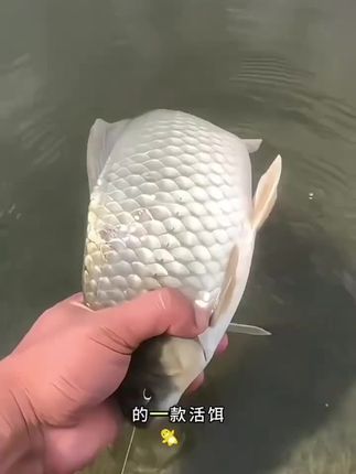 #钓鱼的乐趣只有钓鱼人懂