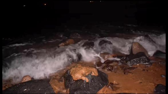 #时代少年团 #群像 #我提笔不为离愁 纪录片 《光辉岁月》——“春满”