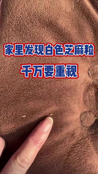 养狗家里发现白芝麻粒一定要重视 #上热门 #狗狗#新手养狗狗#狗狗健康成长#养狗经分享