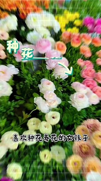 专为女性打造,种花+开店+换装,闺蜜竟然收到官方送的真花啦! #深海花园