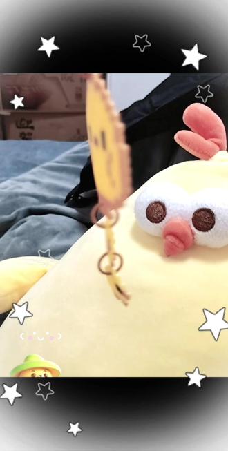 小鸡我自己养了🐤#拼豆#墩墩鸡公仔