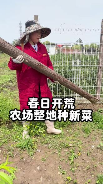 沪漂宝妈回农场,开荒整地备春耕🌱 上海一边打拼生活,一边守着自家这片农场
今天正式开启开荒整地模式
一犁一土,翻的是土地,也是踏实的日子
不追求快节奏,只用心种好每一寸地
后续辣椒、玉米、水稻陆续安排
食材从源头把控,吃得安心才最重要❤️
#沪漂宝妈 #崇明农场 #开荒种地 #原生态农耕#开荒种菜