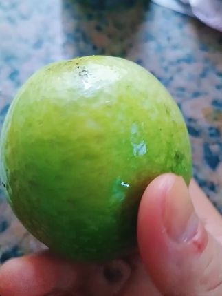 #口感特别好 #应季水果 #盘它就完了 #你吃过吗 #万物皆可盘