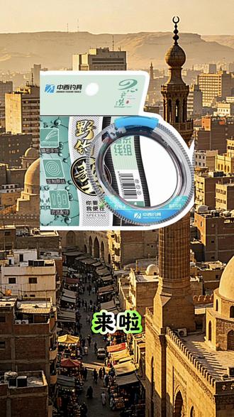 领导说要让我们的产品走向全世界#钓鱼佬 #搞笑企鹅宣传 #搞笑日常