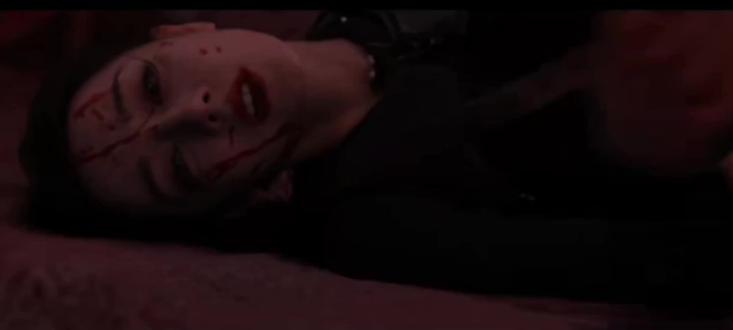 #枭起青壤#迪丽热巴
11月22日看: