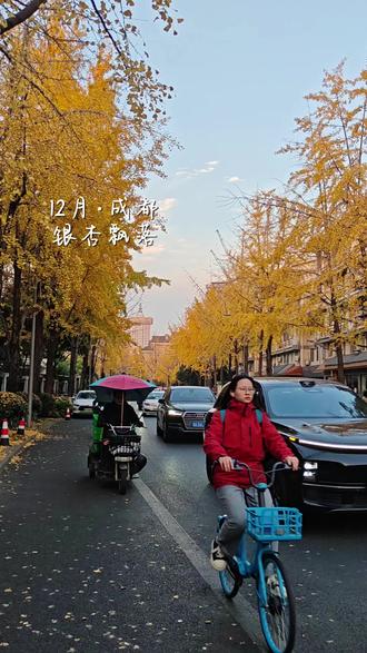 12月·成都银杏黄🍁
喜欢秋天和冬天
喜欢空气里夹着丝丝寒意
萧条冷瑟的氛围感
让所有的温暖都无数倍放大🔍
#银杏黄了 #冬天 #成都 #旅行vlog