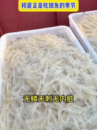 这款银鱼太好吃了,老人小孩都爱吃,营养美味,