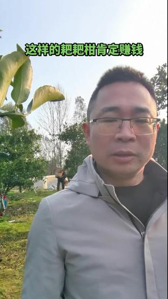 耙耙柑口感好,有点高顶你们能接受吗?#用抖音记录人生 #三农 #新农人计划 #优质农产品 #耙耙柑