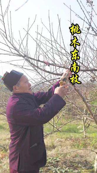 千门万户曈曈日,总把新桃换旧符。
桃木东南枝,古老文化,民间习俗,传统手艺不能丢#老智慧 #国学文化 #桃树枝 #走夜路必备神器 #好运连连