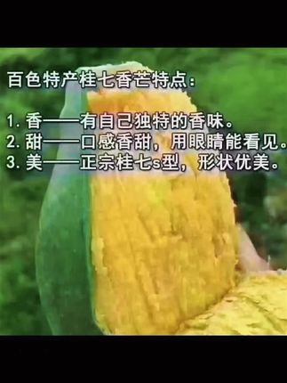 #广西正宗百色桂七芒果 #芒果口的贵族 #原创视频 #新鲜采摘 #抖音新农人 @抖音创作小助手 喜欢的朋友可以下单哟