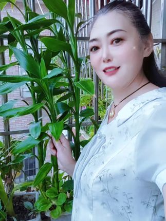 亲友们大家上午好!我们这座城市今天吹大风,下大雨,在家无聊,抖一抖,顺便给友友们看一下,我在阳台上种的花儿,好漂亮😄希望我们这座城市风平浪静🙏🌷
