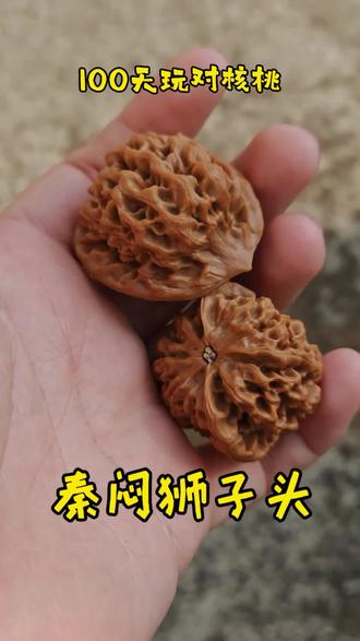 玩对秦闷,已经喷砂打底好了看看100天后什么效果,过程会持续更新的老铁们#盘核桃 #文玩核桃 #文玩爱好者