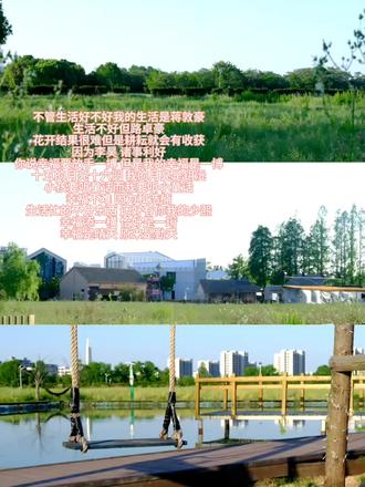 幸福是晴天 原来是勤天#十个勤天 #禾伙人