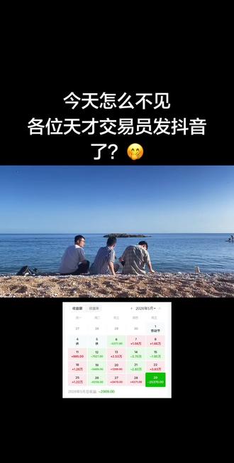 第一章 天才交易员的陨落#同花顺 #天才交易员 #小米汽车 #特斯拉 #问界