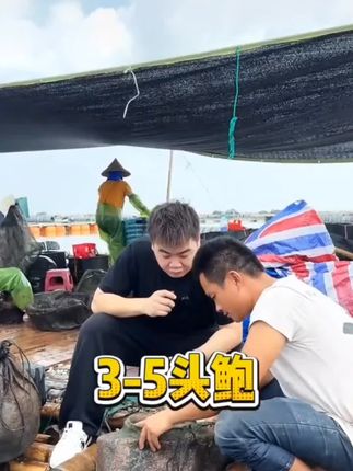 嘉之派黑松露焗鲍鱼。精选鲜活鲍鱼制作,不活不加工无论招待客人送礼都是倍有面子。#拌面拌饭嘎嘎香#嘉之派#黑松露焗鲍鱼#抖音美食分享