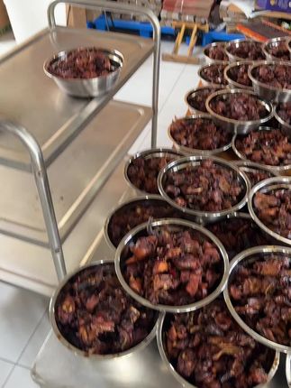 自己家里养的处理所以价格便宜,小笨鸡的价格加了10块,,喜欢的赶紧左下角拍!抢完位置机会不多不要错过!