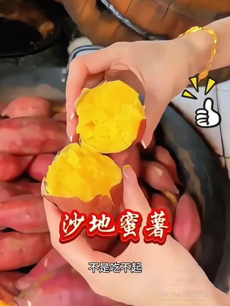 #蜜薯 #沙地蜜薯 #红薯