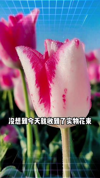 指尖轻点种下梦想,真花包裹惊喜送达!打造你的专属花园世界 #深海花园