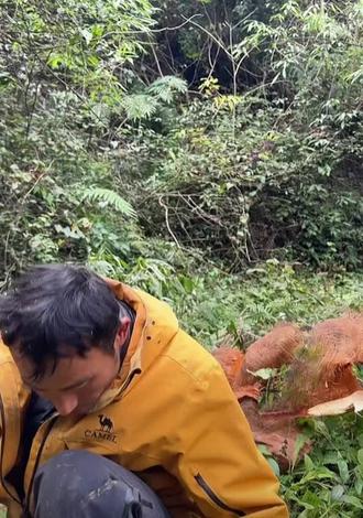 贴心的蜜蜂哥阿乐
要做个双层的高级门帘
即挡风保暖,又方便主播进出
#看过来 大大的暖男啊?#荒野生存