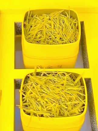 来看这款浓香黄金芽茶#口粮茶推荐 #黄金芽 #喝黄金芽茶的好处 #茶是春天的仪式感 #召唤茶友
