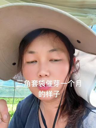 三角梅根部出问题一定要用多菌灵和生根液泡根#记录我的生活