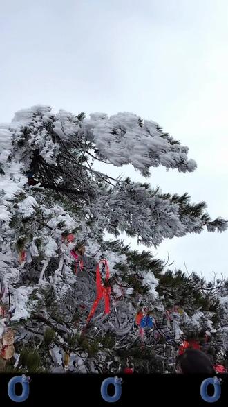 #大山里的原生态 #这才是真正的爬山 #自然风景随拍 #天柱山 #创作者 爬山不是目的,快乐才是🥰@@婷儿 @做一个无名之人